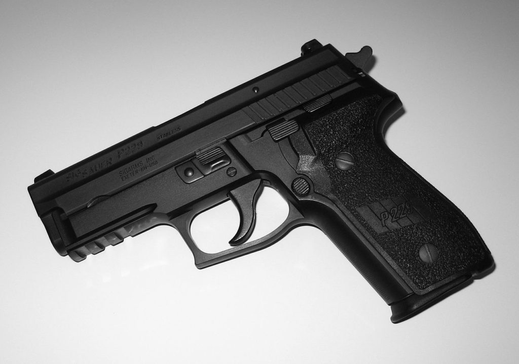 SIG SAUER P229